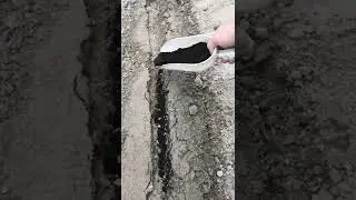 Semina Carote 2. 0