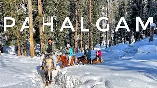 Horse 🐴 Riding in Snow | Mini Switzerland | KASHMIR Series | Episode - PAHALGAM