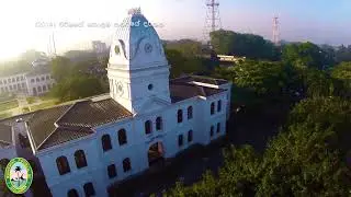 කොළඹට ගසක් ඉතිරි කරමු
