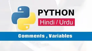 In-Depth Guide to Comments and Variables  in python