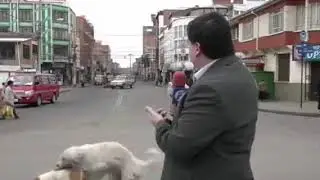 El Alto: Periodista serio hasta que los perros... (Humor)