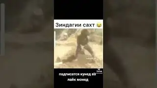 5 декабря 2021 г.