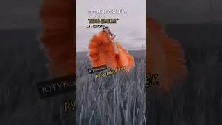 #русалинаогонёк #цыганскийогонёк #русалинаполякова
