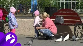 Многодетным родителям станет проще получить пособие на детей до 3 лет