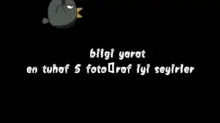 En tuhaf 5 fotoğraf