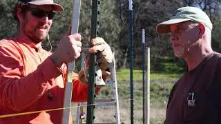 THIS COULD NOT WAIT | Quick Garden Fence Build