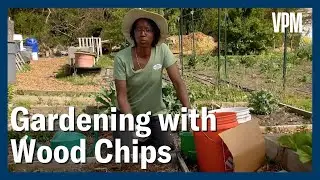 Conserve Water and Suppress Weeds by Using Wood Chips in the Garden
