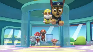 🐶 Patrulha Canina - Os Super Filhotes 🐕