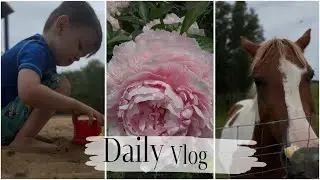 Vlog Сanada  Day, Медецина. Oilers