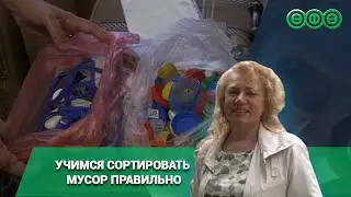Раздельный сбор мусора: разбираемся в тонкостях процесса