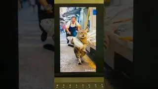 Image to video 