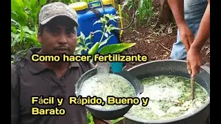COMO SE HACE EL MADRIFOL FOLIAR ORGÁNICO || MADRIFOL FOLIAR fertilizante ORGÁNICO