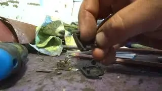 китайская лягушка