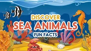 Sea Animals for Kids | Sea Animal Names and Facts | Sea Creatures for Kids | Marine Aquatic Animals