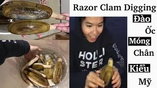 Vlog 67| Đi Đào Ốc Móng Chân Mỹ Bự Chả Bá. Razor Clam Digging - Washington State