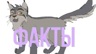 Факты о Крутобоке|«Коты-Воители»