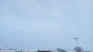Голуби Казахстана Ертуган Алакол