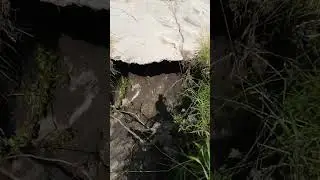 Дачная дорога