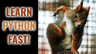 How to Learn Python as Fast as Possible in 5 Steps