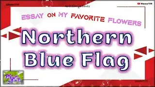 Northern Blue Flag Flower | Essay On Northern Blue Flag Flower | Favorite Flower Northern Blue Flag