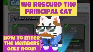 Roblox Play Cats Friend Resuce:Location of Principal Cat Professor
