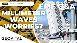 Millimeter waves EMFQ&A 020