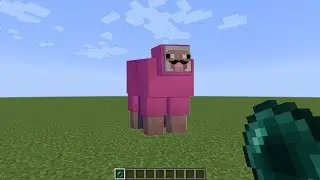 What's inside Pink Sheep?
