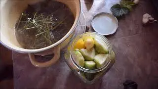 Самые вкусные маринованные патиссоны. Быстро и просто!
