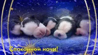 Спокойной ночи! Футаж**!