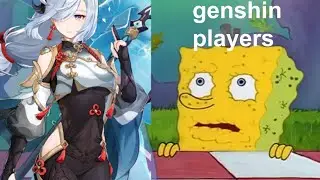 Genshin Impact Players: 