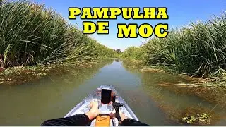 NAVEGUEI NA PAMPULHA DE MONTES CLAROS