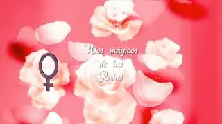 Usos mágicos de las Rosas