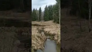 прогулка по диким местам,красота