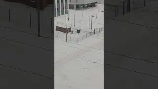 Весь дом смотрит как он это делает