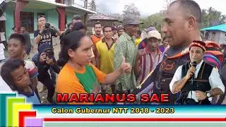 Ovan Radho - Reggae Marianus Sae (Sumba Version)