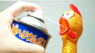 チキンにヘリウムガスを注入すると... 面白すぎたｗｗｗ