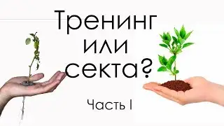 Тренинг или секта? Часть 1.