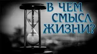 В ЧЕМ СМЫСЛ ЖИЗНИ? | ЗАЧЕМ МЫ ЗДЕСЬ | Вера Ислам