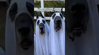 How did we do?! 👻 