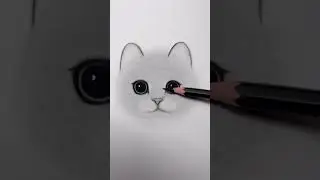 catface pencil drawing #beautiful #art