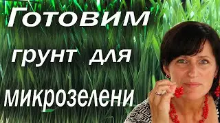 Вермигрунт для микрозелени, как и из чего его сделать.