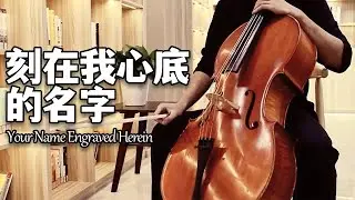 Your Name Engraved Herein | Cello & Piano Cover | Cellofox_