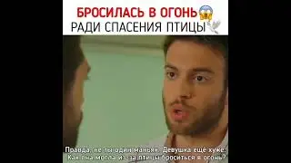 🕊БРОСИЛАСЬ В ОГОНЬ РАДИ СПАСЕНИЯ ПТИЦЫ 🕊. НАЗВАНИЕ: МЕРЬЕМ.