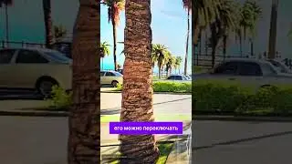 3D-монитор без очков! Samsung Odyssey 3D показали живьём #samsung #3d #монитор #gamescom #новости