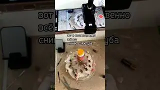 Часы из эпоксидной смолы