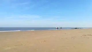 The beach, Den Haag, the Netherlands but... In spring time