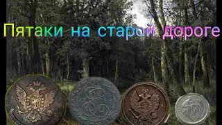 Старая лесная дорога