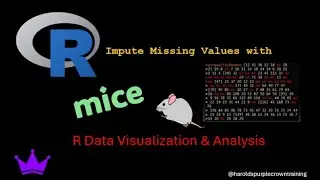 R Data Visualization & Analysis:  Impute Missing Values With  MICE