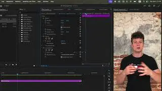 VIDEOBEARBEITUNG FÜR ANFÄNGER - Sinn der Einstellungsebene (Adjustment layer) - Premiere Pro