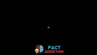 NAILS FACT YOU DIDN’T KNOW